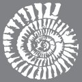 Andy Skinner Mixed Media Stencil - Fossil