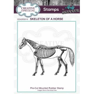 Andy Skinner Rubber Cling Stamp - Skeleton of a Horse