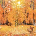 Ciao Bella The Sound of Autumn - 12x12 Papers 12pk