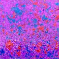 Cosmic Shimmer Aurora Flakes - Passion Pop
