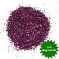 Biodegradable Glitter - Wild Plum