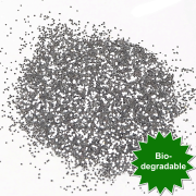 Biodegradable Glitter - Silver