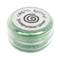Biodegradable Glitter - Spring Green