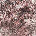 Cosmic Shimmer Pixie Burst - Black Cherry