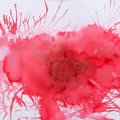 Cosmic Shimmer Pixie Powder - Scarlet Mist