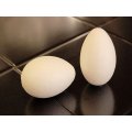 Polystyrene Eggs - Set of 5, Small 6cm