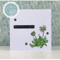 Craft Consortium At Home in the Wildflowers - 6x6 Premium Paper Pad
