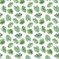 Craft Consortium The Essential Craft Papers 6x6 Paper Pad - Tropical Paradise