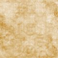 Sara Signature Collection Parisian - 8x8 Paper Pad