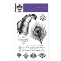 Craftwork Cards Clear Stamp Set - Nouveau Vogue