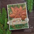 Creative Expressions 3D Embossing Folder and Companion Colouring Stencils Bundle - Poinsettia Bliss