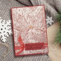 Creative Expressions 3D Embossing Folder and Companion Colouring Stencils Bundle - Poinsettia Bliss
