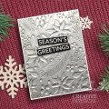Creative Expressions 3D Embossing Folder and Companion Colouring Stencils Bundle - Nature's Christmas
