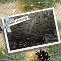 Creative Expressions 3D Embossing Folder and Companion Colouring Stencils Bundle - Nature's Christmas