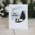 Designer Boutique Clear Stamp Set - Festive Wishes