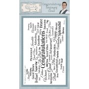 Phill Martin Sentimentally Yours DL Rubber Stamp - Congratulations Sentiment Cloud