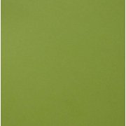 Creative Expressions A4 Foundation Card 25pk - Lime
