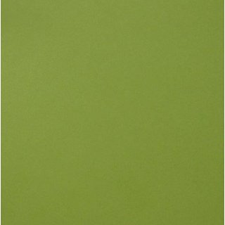 Creative Expressions A4 Foundation Card 25pk - Lime