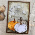 Sam Poole A6 Clear Stamp Set - Ghost Pumpkin