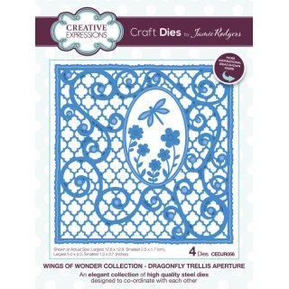 Wings of Wonder Craft Die - Dragonfly Trellis Aperture