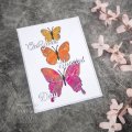 Wings of Wonder Craft Die - Swirl Corner Duo