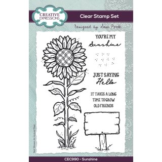 Sam Poole 6x4 Clear Stamp Set - Sunshine