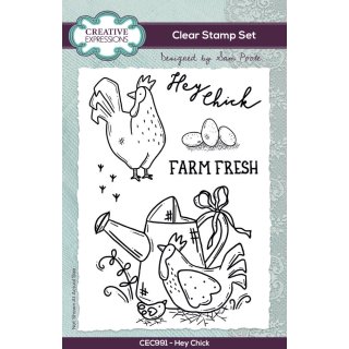 Sam Poole 6x4 Clear Stamp Set - Hey Chick