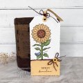 Sam Poole 6x4 Clear Stamp Set - Sunshine