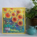Sam Poole 6x4 Clear Stamp Set - Sunshine