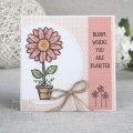 Sam Poole 6x4 Clear Stamp Set - Daisy Bloom