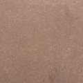Cosmic Shimmer Sam Poole Botanical Stain - Coffee Beans