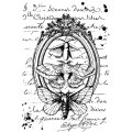 Sam Poole A6 Pre-cut Rubber Stamp - Moth Philosophy