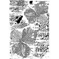 Sam Poole 6x4 Pre Cut Rubber Stamp - Nature Fragments