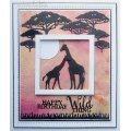 Creative Expressions A5 Clear Stamp Set - African Animals