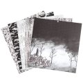 DCWV 12x12 Premium Cardstock Stack - Ghost Stories