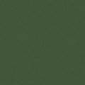 DecoArt Crafter's Acrylic Paint - Forest Green