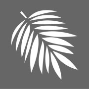 DecoArt Americana Decor 6 x 6 Inches Stencil - Tropical Leaf