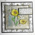 IndigoBlu A5 Red Rubber Stamp - Camomile