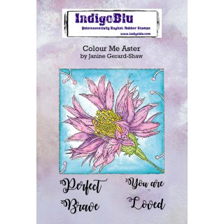 IndigoBlu A6 Red Rubber Stamp - Colour Me - Aster