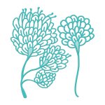 Jane Davenport Die Set - Sea Flower