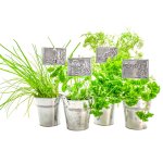 Metal Embossing Kit - Planter Labels