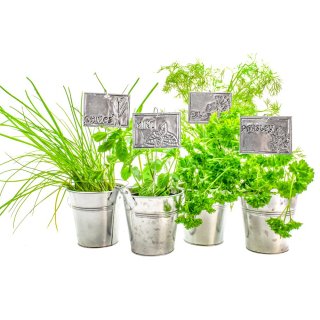 Metal Embossing Kit - Planter Labels