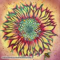 Pink Ink Designs 8x8 Inch Stencil - Sunflower Rays