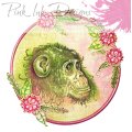 Pink Ink Designs A5 Clear Stamp Set - Funky Monkey