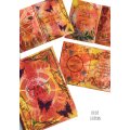 Pink Ink Designs A5 Clear Stamp Set - Frames Series - Elegance