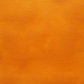 Pink Ink Multi-surface Paint - Spiced Pumpkin Shimmer