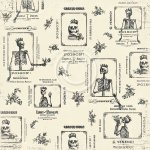 The Witching Hour 12x12 Collection - Beyond the Grave