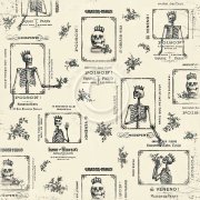 The Witching Hour 12x12 Collection - Beyond the Grave