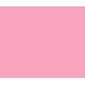 Apple Barrel Indoor and Outdoor Multi-Surface Satin Paint - Princess Pink