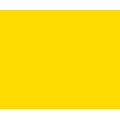 Apple Barrel Indoor and Outdoor Multi-Surface Satin Paint - Lemon